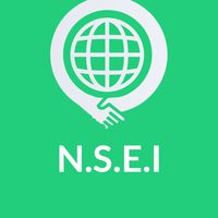 N.S.E.I. Organize