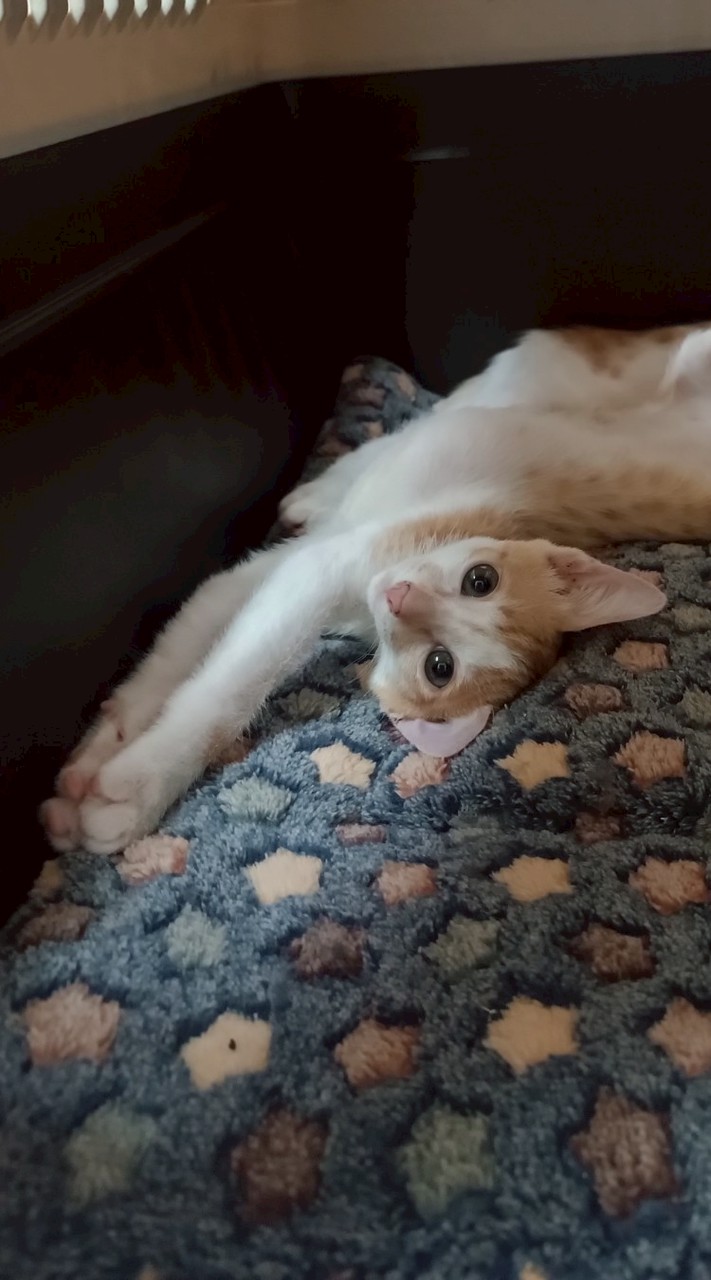 時光消磨避難所