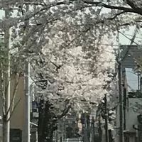 介護の愚痴吐こうぜ！(仕事も家庭内もなんでもOK)