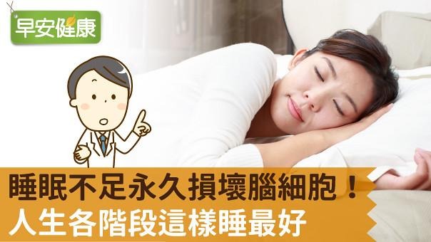 睡眠不足永久損壞腦細胞！人生各階段這樣睡最好