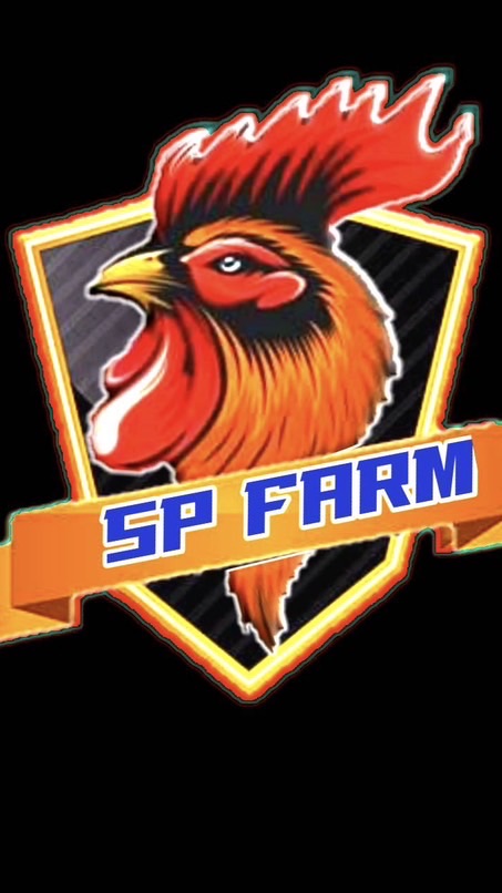 ซุ้ม SP ฟาร์มโคราช (พม่าตอคม)