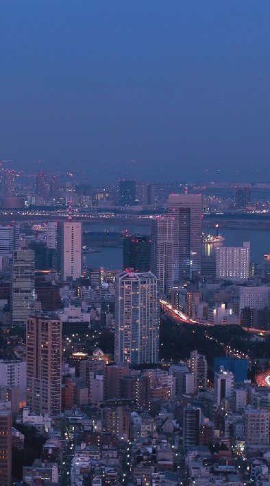 CITY BOT โลกของบอท🌎
