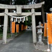 コメサンタフェス2025
