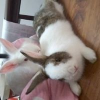 隨便聊(. ❛ ᴗ ❛.)