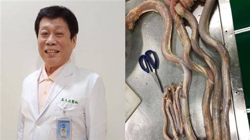 法醫高大成進補！「牛鞭、鱷魚掌」躺料理台 網驚：解剖課 三立新聞網 Line Today