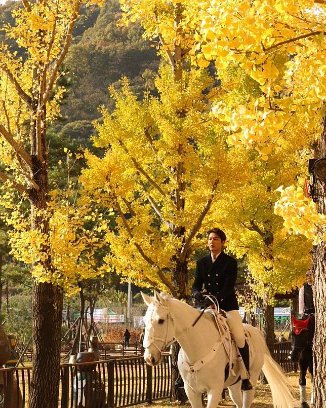 圖多／李敏鎬拍攝新劇《The King:永遠的君主》路透照！真的是白馬王子啊～