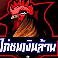 คนรักไก่ #ซุ้มเพรชพลายฟาร์ม