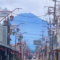 購購小買手｜日本代購✈