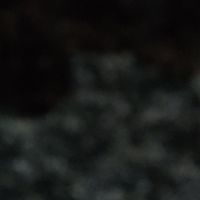RBHPRO77 (V.2)