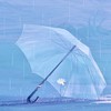どうせ相容れないんだから。《 2434 》