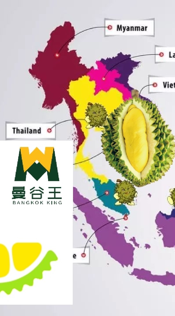 ทุเรียนไทย(บริษัท ม่านกู่หวาง ฟู๊ด)