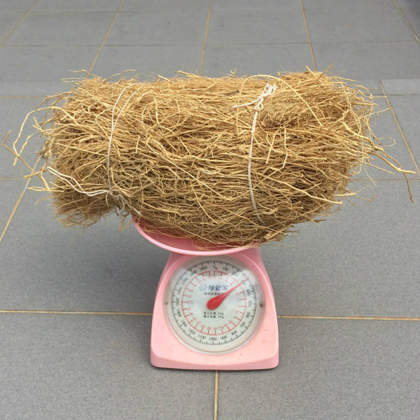 岩蘭草 !! (原物料) 來自印度的心靈能量 ! 香根草 , 300g