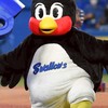 野球ファンの集い
