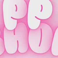 ตัวแทน PP SHOP