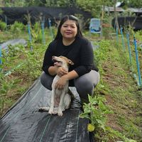 สั่งของสอบถามร้านหน่อย(ถูกใจ)