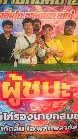 เพชรประมวลรุ่งเรืองฟาร์ม สายเลือดพม่าเงินล้าน🐓💸