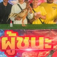 เพชรประมวลรุ่งเรืองฟาร์ม สายเลือดพม่าเงินล้าน🐓💸