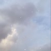 来年も再来年も♡全緩ハント