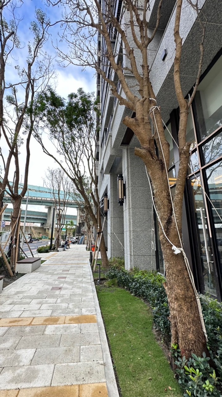 漢皇鼎真 已購自住群組
