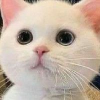 เหงาๆมาคุยได้