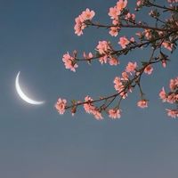 時光大爆炸-天上天下
