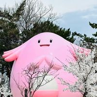 童心再起50+60++以上
