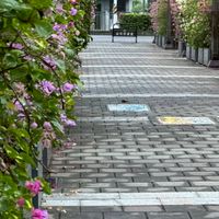 屏東人聊很多事