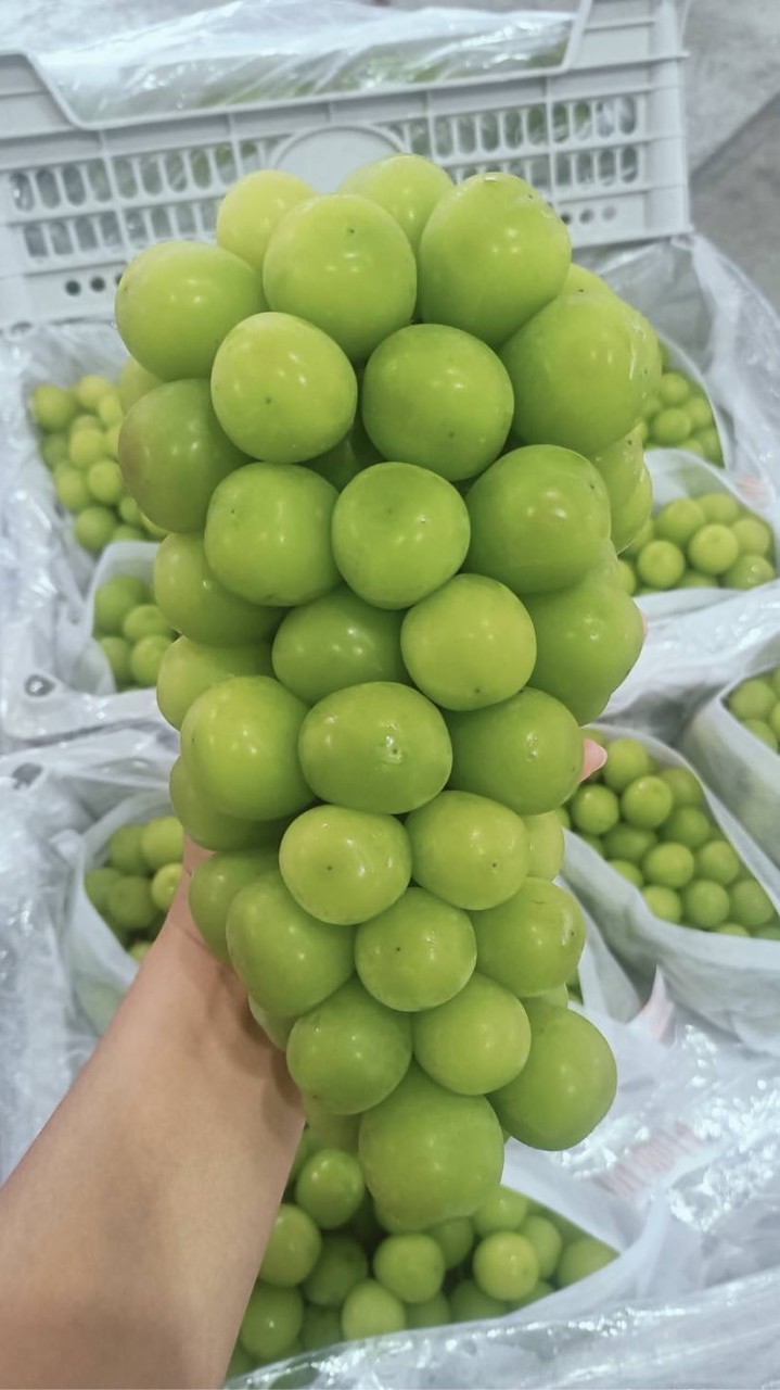 Lucky Fruit  ผลไม้ออนไลน์ กลุ่ม 2️⃣