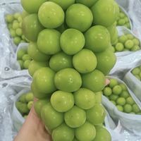 Lucky Fruit  ผลไม้ออนไลน์ กลุ่ม 2️⃣