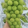 Lucky Fruit  ผลไม้ออนไลน์ กลุ่ม 2️⃣