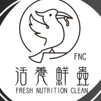 活養鮮蟲FNC×黃金杜比亞、鼠婦、肥尾守宮、爬蟲販售