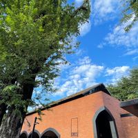 跟著阿婷一起去旅遊