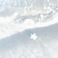 𐙚應援物/產出⋆.˚