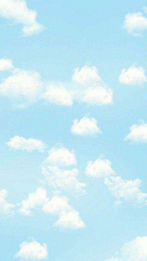 中洲501家長群組