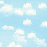中洲501家長群組