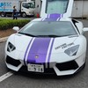荒野の集い