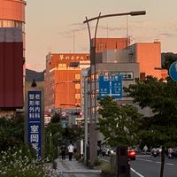 しらす丼のオプ【地理好き】