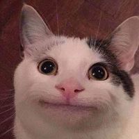 應化組