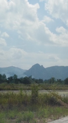 เกษตรออนไลน์