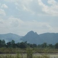เกษตรออนไลน์