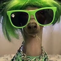 🧑‍🎤สีเขียว2568♻️