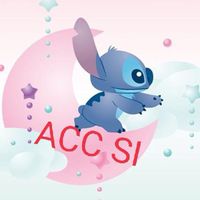 ทีมบัญชี SI