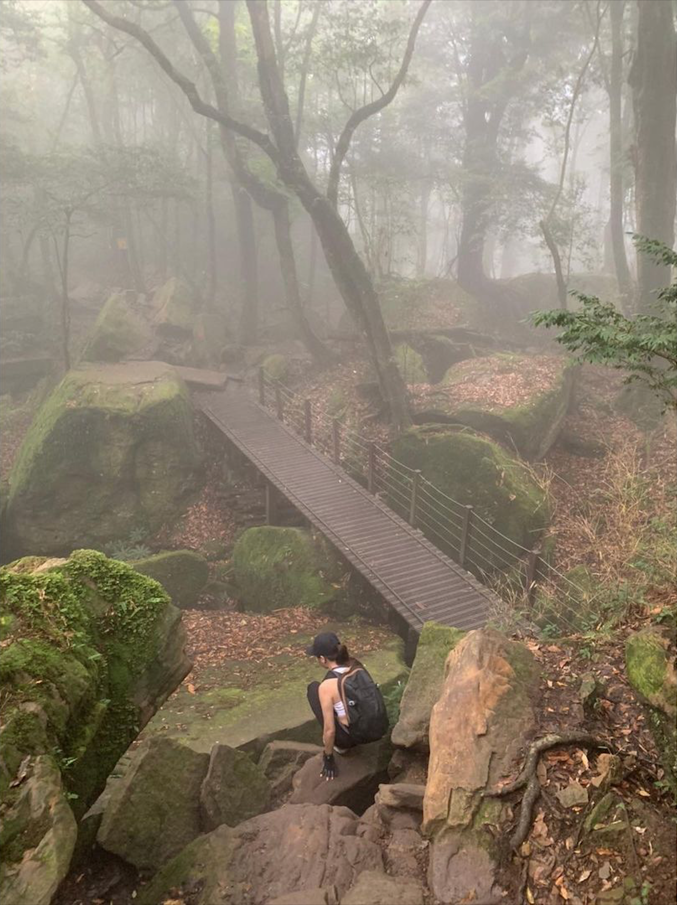 苗栗加里山步道環境