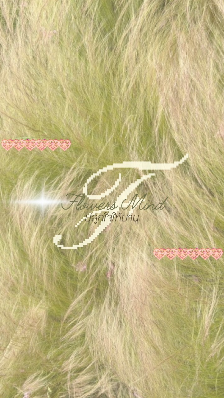 Workshop Flowers Mind ครั้งที่ 2