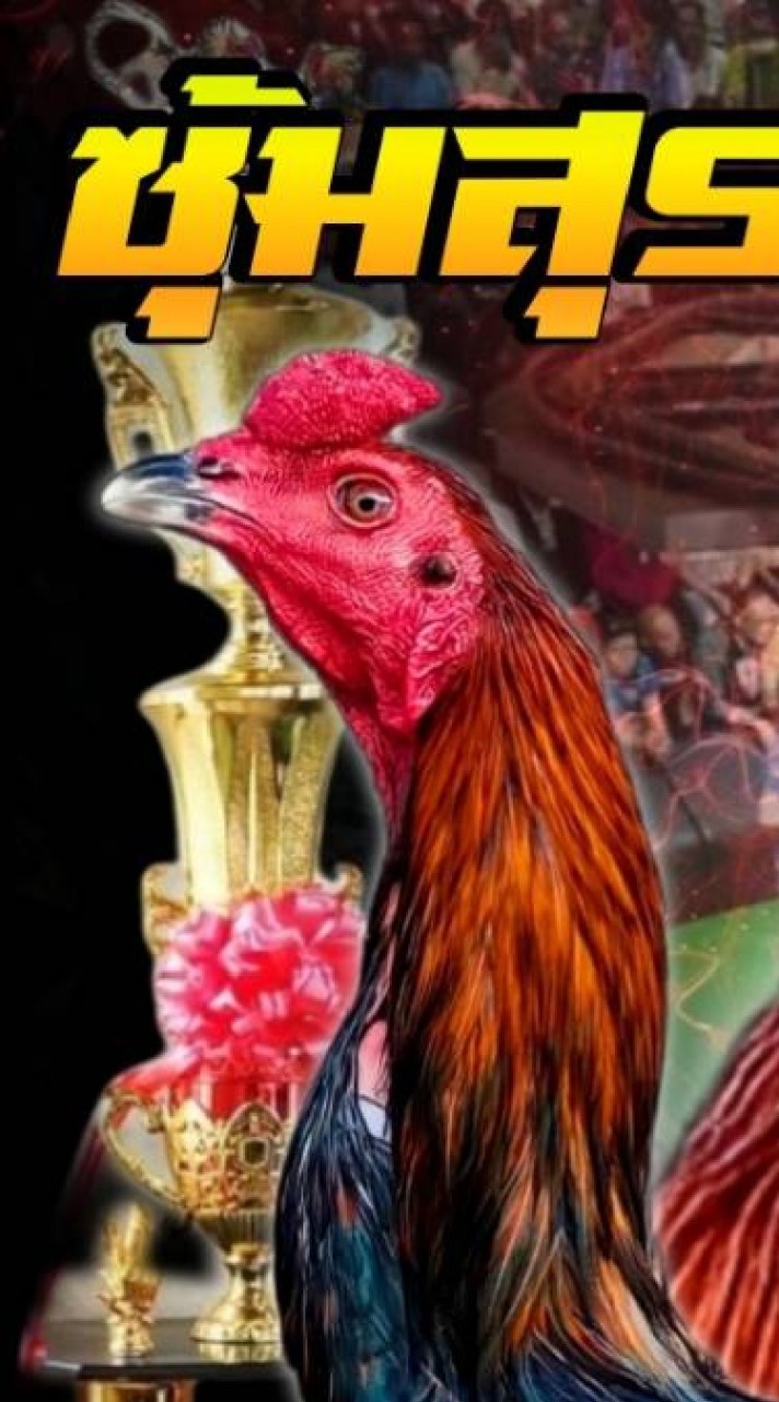 🐓สุรพิชญ์ไก่ซิ่งSP farm🐓