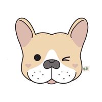 狗狗✨大冒險～選物店