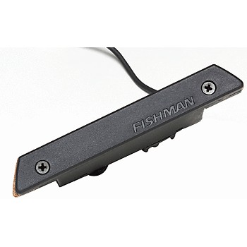 FISHMAN - Rare Earth PRO-REP-101