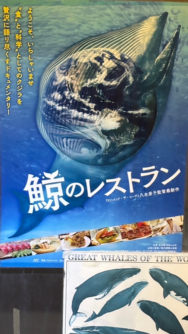 🐳くじら大好き〜❣️、