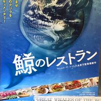 🐳くじら大好き〜❣️、