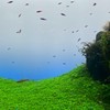 114屏科大餐旅系-新生群